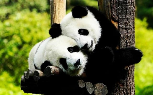 Zhouzhuang Day Trips from Shanghai