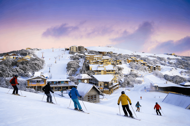 Mount Buller Day Tour