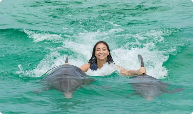 Punta Cana Dolphin Experience