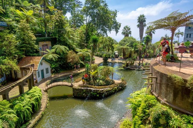 Best Monte Palace Tours in Funchal