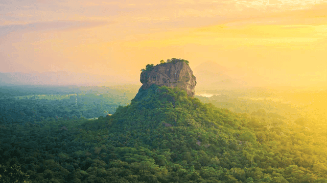 Sigiriya Rock Hike & Minneriya Elephant Safari Tour