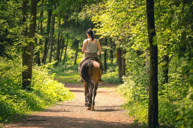 Marmaris Horse Safari