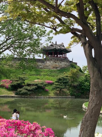 Suwon Hwaseong Fortress Tour in Suwon | Guided