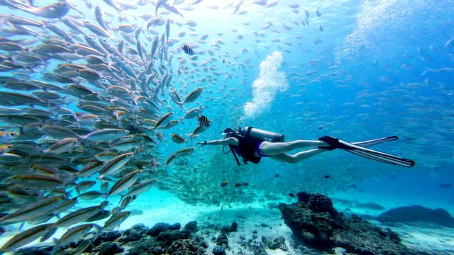 Racha Yai Island Scuba Diving
