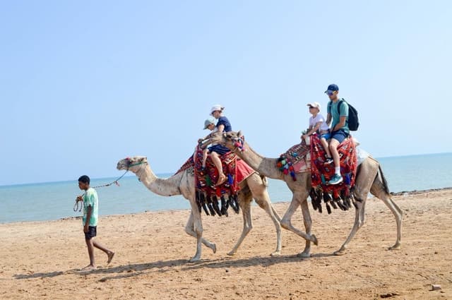 Hurghada Camel Ride