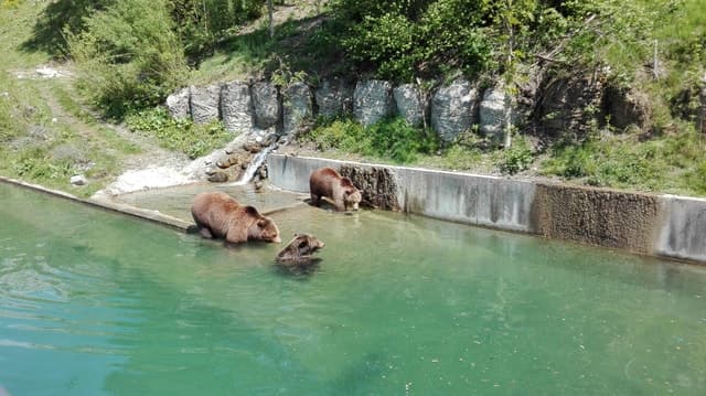 Luxury Private Tours: Zurich to Bern Day Trip Experience