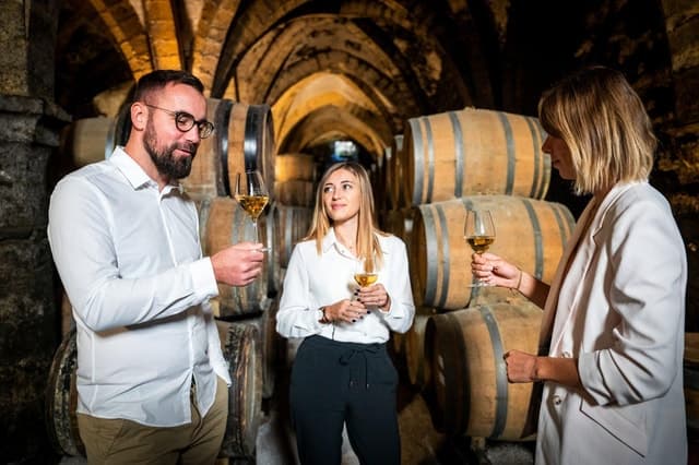 Alsace Wine Tasting from Strasbourg: Book Now