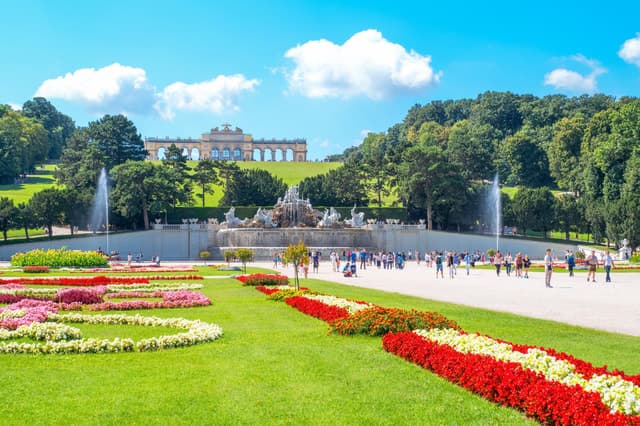 Best Schönbrunn Palace Tours & Imperial Vienna Experiences