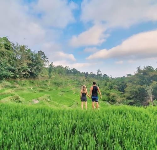 Lombok Adventure: Benang Kelambu Waterfall & Rafting