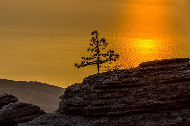 Explore Cabo da Roca Tours