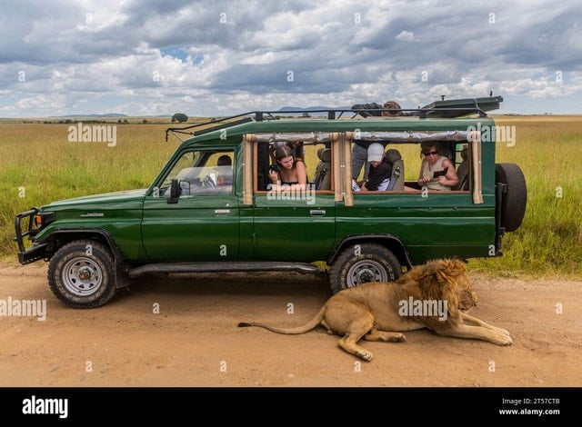 Victoria Falls & Chobe Safari