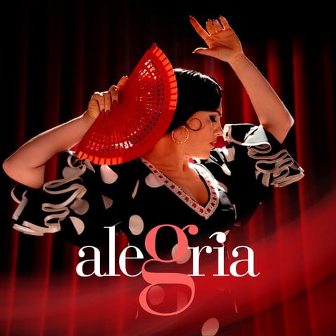 AlegrĂa Flamenco Show Málaga