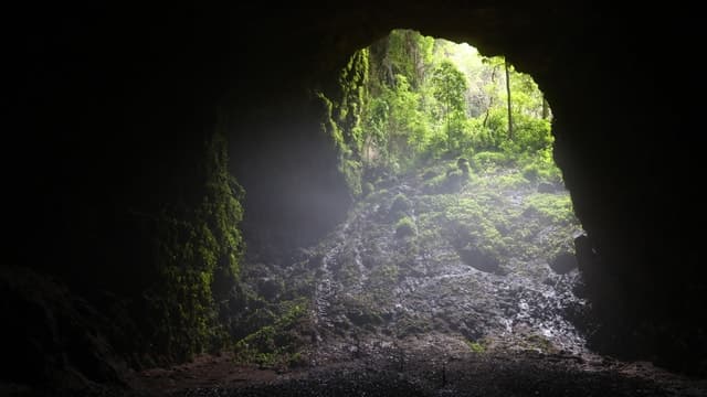 Jomblang Cave Tour