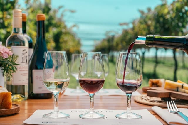 Premium Wine Tasting Experience at Bodega Gamboa