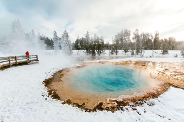 Yellowstone National Park Tour - Salt Lake City