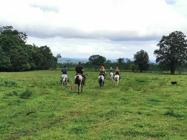 La Fortuna Waterfall Horseback Ride