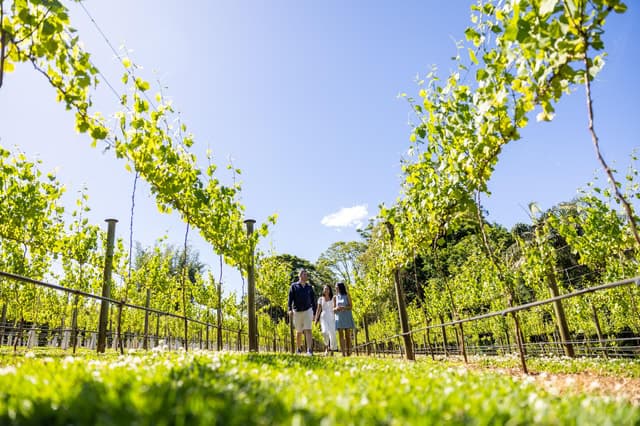 Best Gold Coast Distillery Tours & Craft Spirit Experiences