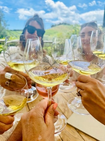 Waiheke Island Wine Tour