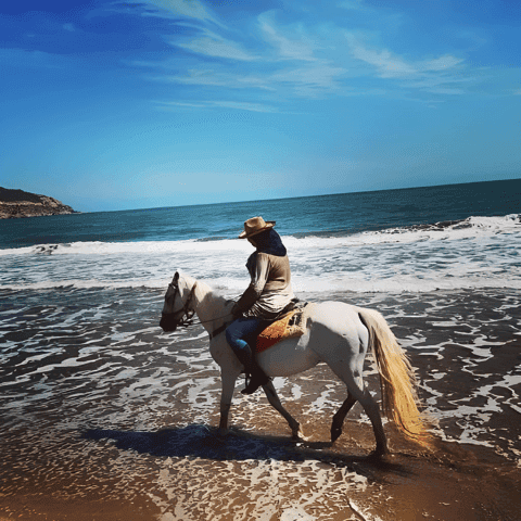 Ultimate 10-Day Algeria Tour: Explore Algiers & Beyond