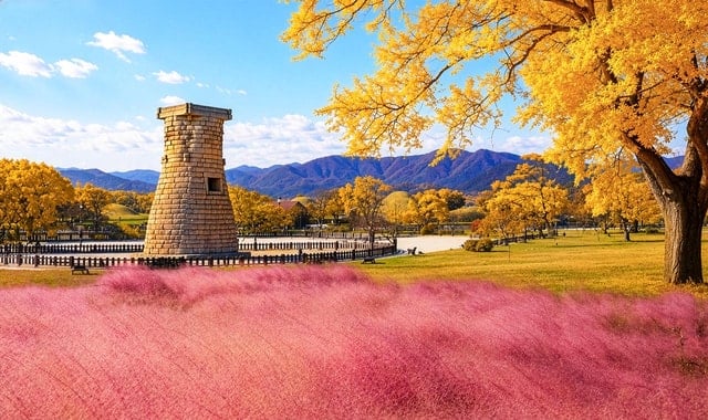 Busan Cherry Blossom Tour