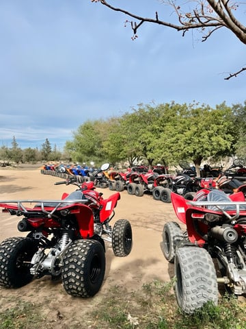 Hammamet Quad Bike Tour