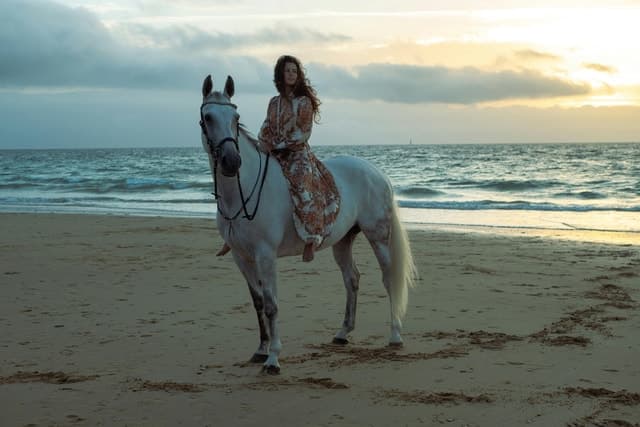 Top-Rated Beach Horseback Tours in Porto