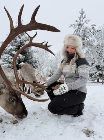 Reindeer Safari Finland