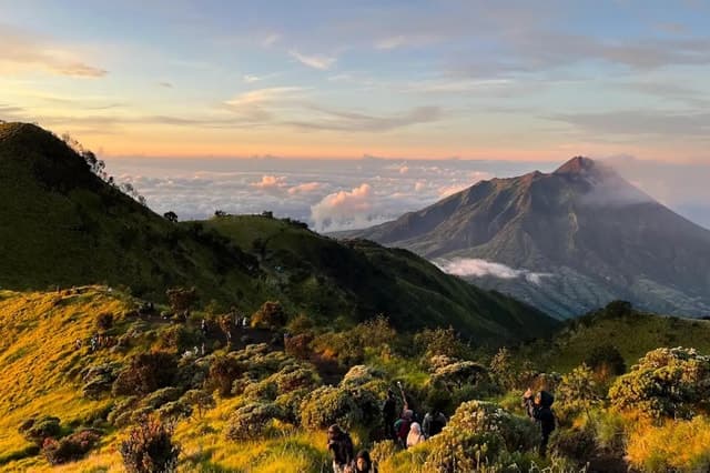 Mount Merbabu Hike