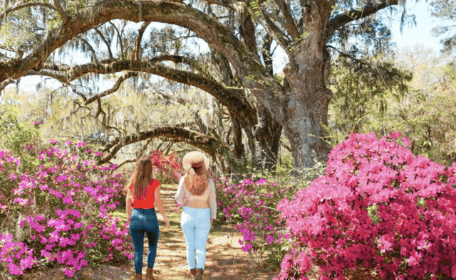 Magnolia Plantation Tour