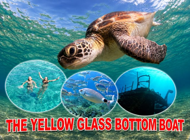 Paphos Yellow Glass-Bottom Boat Cruise