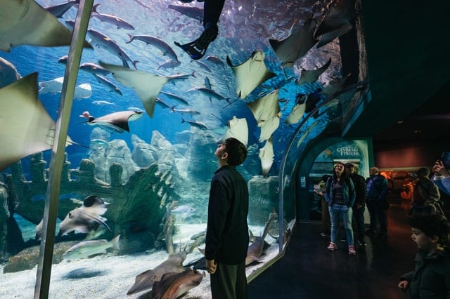 Istanbul Aquarium