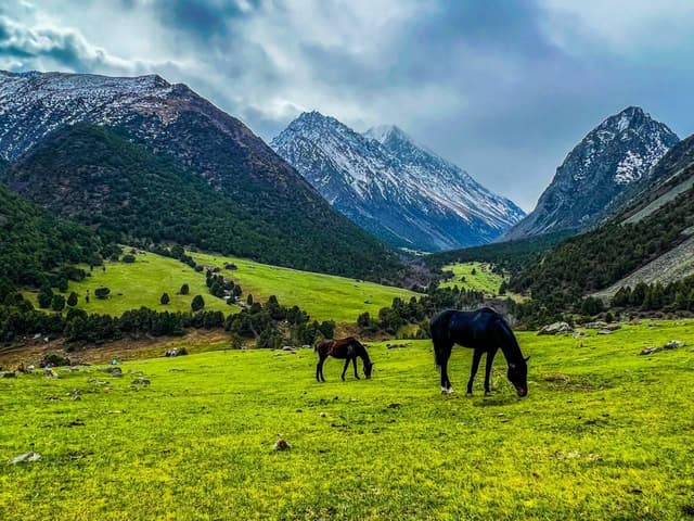 Best Alamedin Gorge & Teke-Tor Waterfall Tour from Bishkek