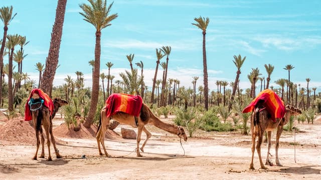 Compare Berber Villages Trek Tours