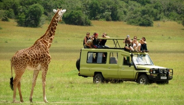 Zulu Village & PheZulu Safari Park Tour