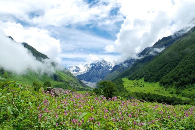 Valley of Flowers Tour