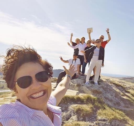 Explore Napier: Premier Shore Excursions & Local Tours