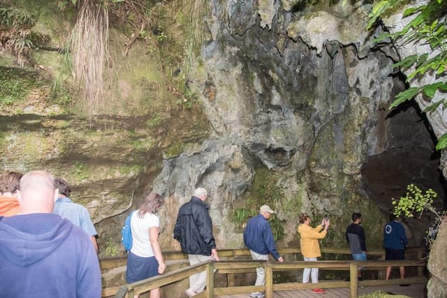 Magical Kawiti Glowworm Caves Tour | Bay of Islands