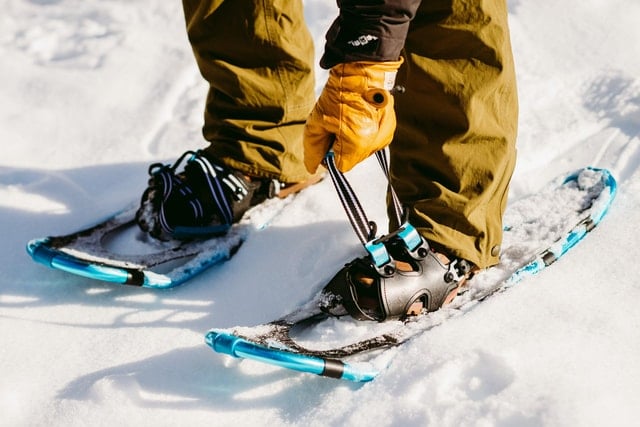 Oslo Snowshoe Tour
