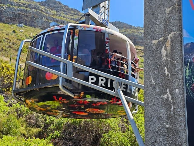 Epic Cape Town Tour: Table Mountain & Cape of Good Hope