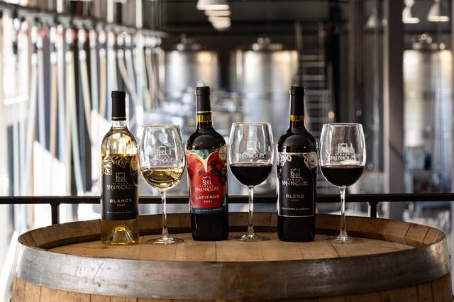 San Miguel de Allende Vineyard Tour