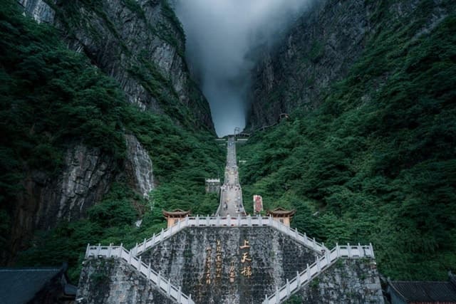 Zhangjiajie National Forest Park Tour