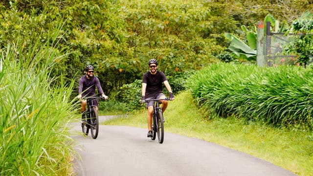 Boquete Coffee Tour