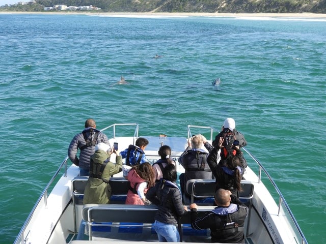 Garden Route Tour - Knysna