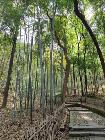 Explore Hangzhou in One Day: West Lake & Culture