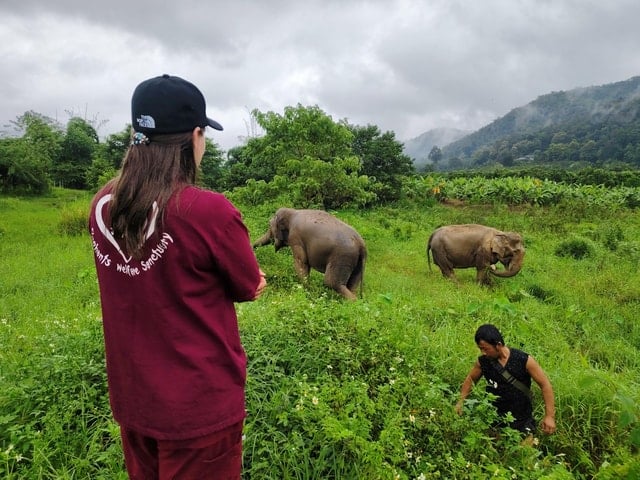 Chiang Mai Sticky Waterfall Tour