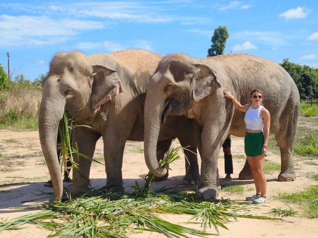 Kulen Elephant Forest Tour