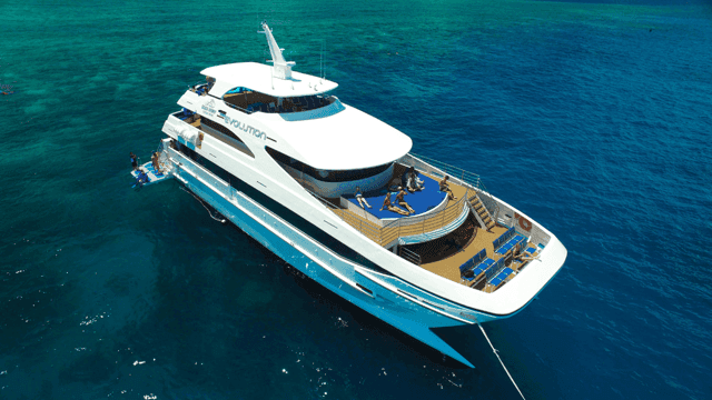 Best Blue Cave Tour in Palau for Ocean Adventures