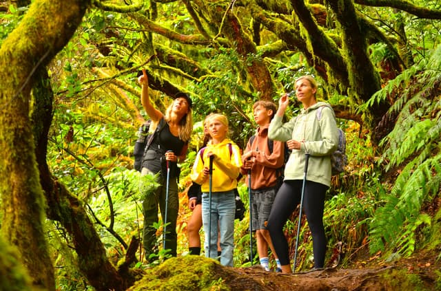 Tenerife Anaga Hiking: Trek Through Ancient Laurel Forests