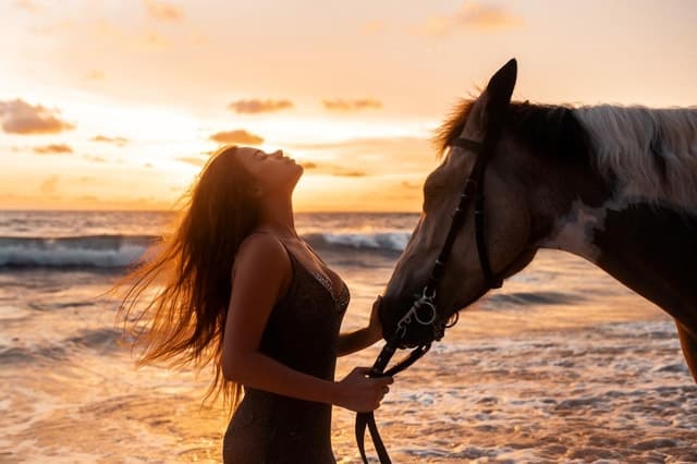 Salalah Beach Horse Riding