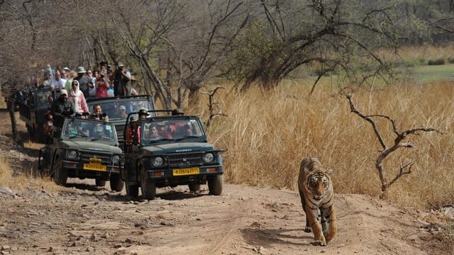 Golden Triangle Tour - New Delhi